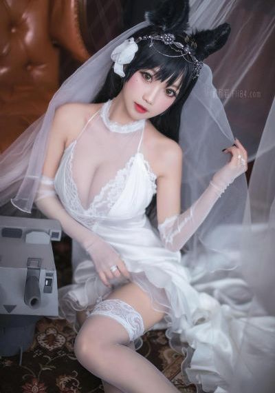 电视剧延禧攻略全集免费播放