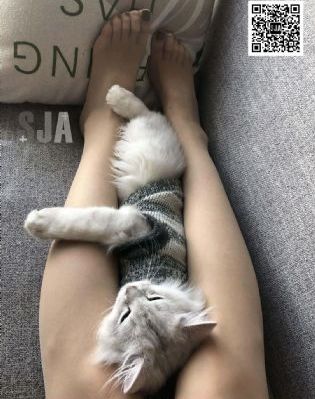 免费在线看电影