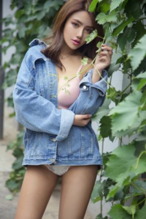 扫黑风暴电视剧在线观看免费