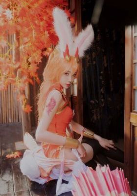 花心野玫瑰